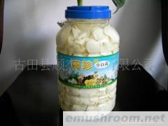 供应ManBetX体育.牛肝菌 小白菇