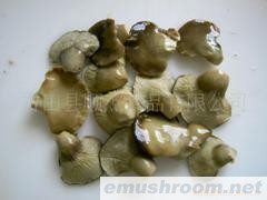 供应盐渍鲍鱼菇