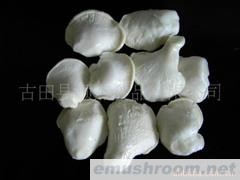 供应牛肝菌 盐渍白灵菌