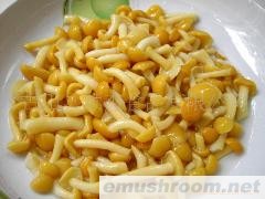 供应牛肝菌 盐渍青杠菌