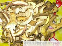 供应牛肝菌 盐渍红乳牛肝菌