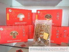 供应茶树菇