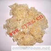 供应银耳（白木耳）