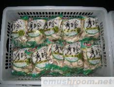 供应Manbetx体育手机版推荐A9版本,秀珍菇