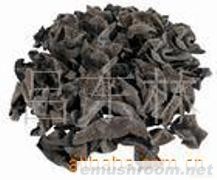 供应东北黑木耳