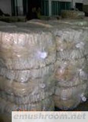 供应大量干品竹荪/竹荪管