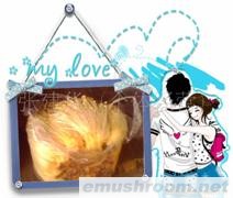 供应Manbetx体育手机版推荐A9版本