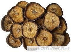 供应香菇,干香菇,香菇切片