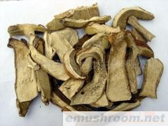 供应牛肝菌（切片）