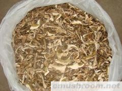 批发供应批发美味牛肝菌 A级 B级 C级ManBetX体育