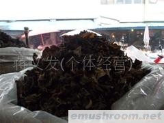 批发供应木耳