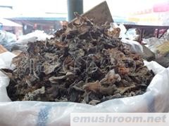 供应木耳