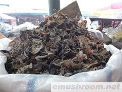 供应木耳批发
