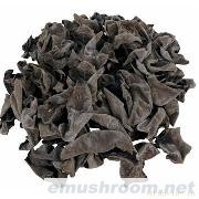 供应黑木耳1号