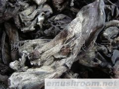 供应野生菌/牛肝菌/Manbetx体育手机版V17版本发布.官网安卓网.香港/干片/干巴菌/盐菌