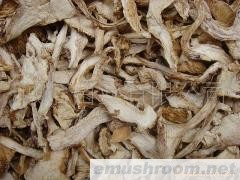 供应 松茸/青杆菌/Manbetx体育手机版V17版本发布.官网安卓网.香港/土特产 野生菌批发