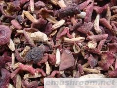 供应牛肝菌/红菇/野生菌/黄牛肝菌/干品/冻品/等