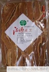 供应灵芝