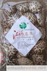 供应江源花菇