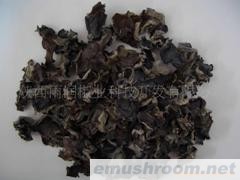 供应凤耳牌秦岭黑木耳