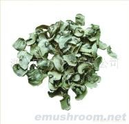 供应蘑菇片、香菇片、灰树花片、鸡腿菇片、杏鲍菇片