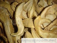 供应；云南特产 黄虎掌 黑虎掌 牛肝菌 松茸 等