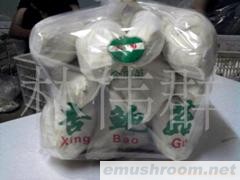 供应杏鲍菇