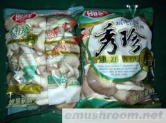 批发供应新鲜秀珍菇(图)