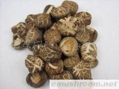 供应干香菇