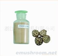 特价、促销、营养食品、香菇、蘑菇、细粉、孢子粉