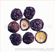 批发、黑面菇、香菇、花菇、蘑菇、营养食品