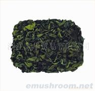 批发、精品黑木耳、香菇、蘑菇、土特产、灰树花