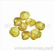 供应精品散装猴头菇