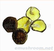 供应精品散装原木簿菇