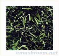 供应白背木耳丝、香菇丝、香菇、土特产、灰树花