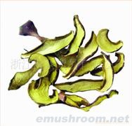 批发、香菇、蘑菇、营养品、食品、美味、牛肝菌