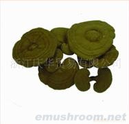 灵芝、椴木灵芝、孢子粉、营养品、保健食品、胶囊