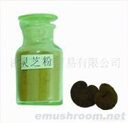 供应精品瓶装灵芝粉