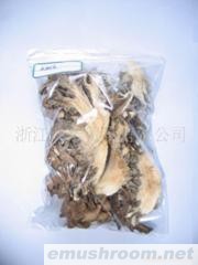 供应精品灰树花系列