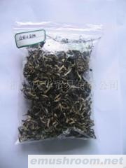 供应精品白背木耳丝系列