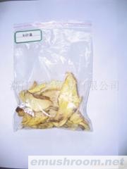 供应精品牛肝菌系列