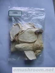 供应精品杏鲍菇系列