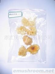 供应精品椴木白木耳系列