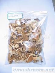 供应精品真姬菇系列