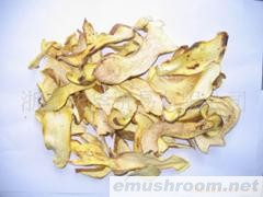 供应精品散装牛肝菌系列