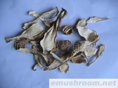 供应精品散装鸡腿菇系列