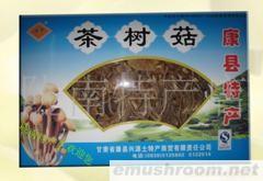 供应盒装茶树菇