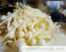 供应多种金针菇