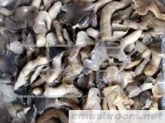 供应Manbetx体育手机版推荐A9版本