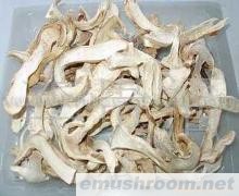 云南野生菌 Manbetx体育手机版V17版本发布.官网安卓网.香港 批发/松茸菌